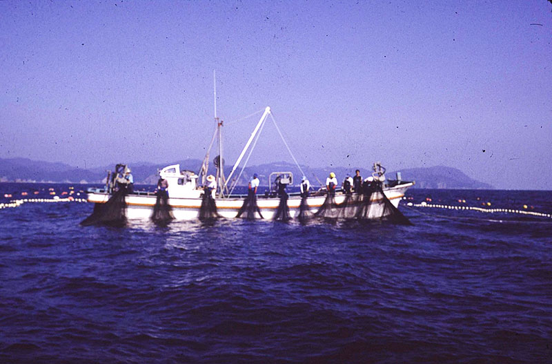 写真1　漁村研修時に乗船した漁協の定置網漁船