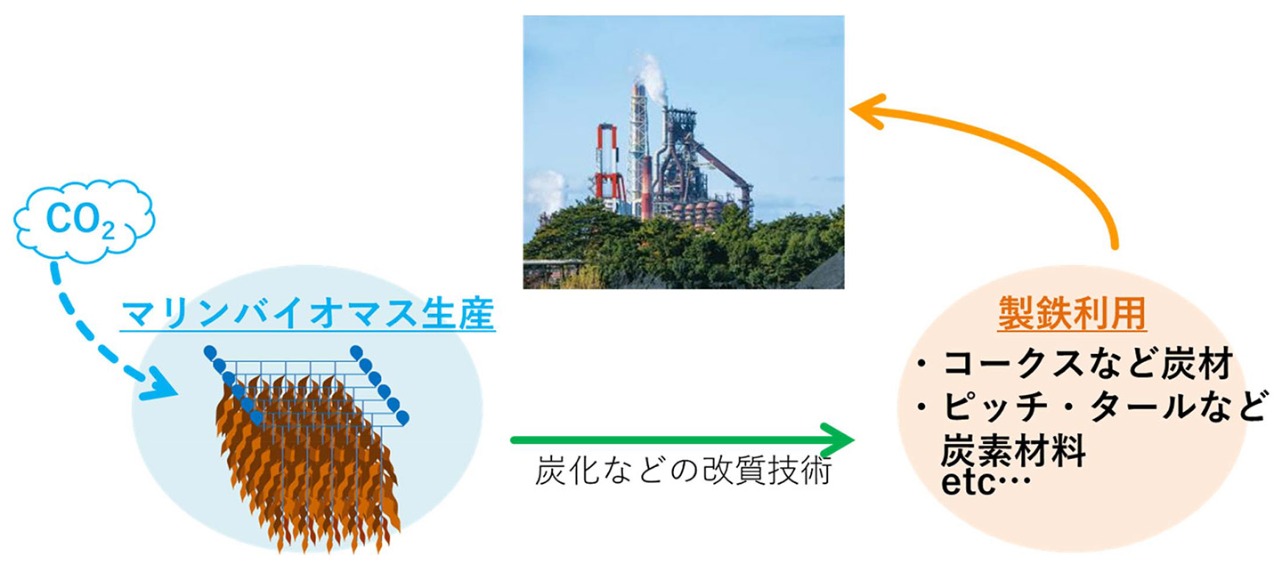 図3　製鉄所における新たな炭素循環システム（出所：日本製鉄ニュースリリース「マリンバイオマスの多角的製鉄利用に資する技術開発に着手（2021/05/25）」）
