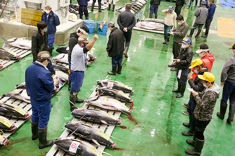 マグロ卸売場のセリ。国内外から魚が集められ、多くの仲買人が日々決められた取引時間に集まる仕組みは市場外にはない