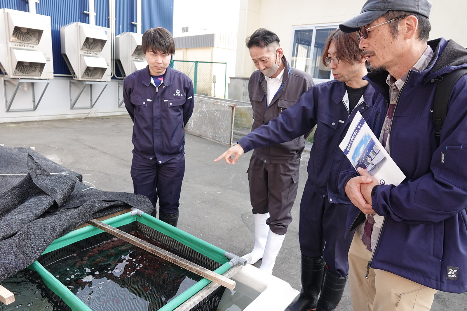 写真1