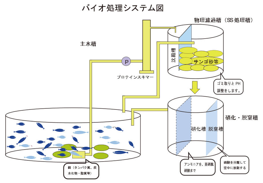 図1