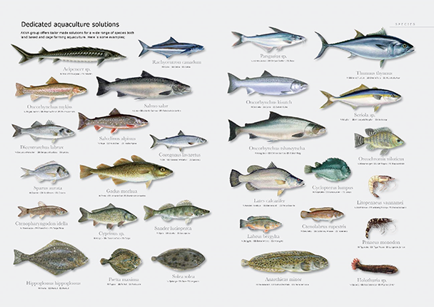 図2-1　AKVA グループが対象としている魚種。マグロからエビまで扱っている。（Credit: AKVA Group ASA，同社より許諾を得て掲載。）