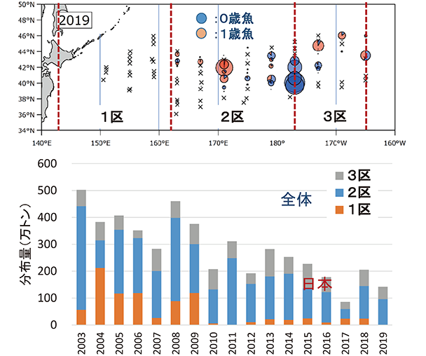 図11　2019年6〜7月の北西太平洋における中層トロールによるサンマ分布量調査の結果（平成30年度国際漁業資源の現況／東北区水産研究所資料）