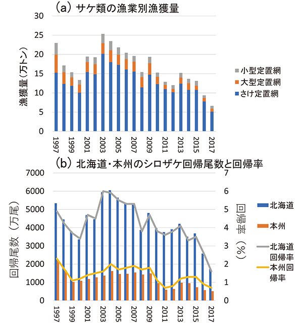図21　わが国のサケ類の漁業別漁獲量の経年変化(a)と、北海道および本州におけるシロザケの回帰尾数と回帰率（漁業・養殖業生産統計年報／北海道区水産研究所）