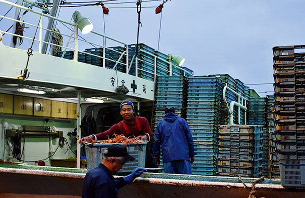 写真-2　カニかご漁船で水揚げ作業をする外国人技能実習生