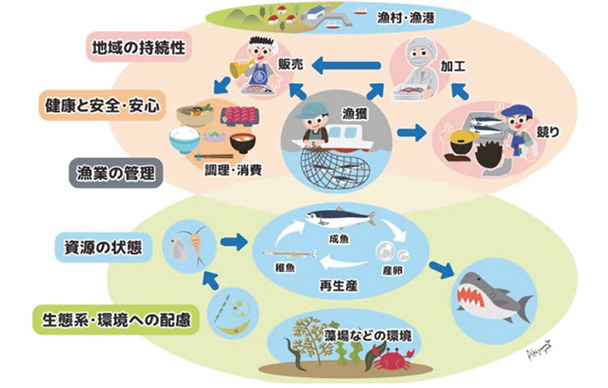 東京湾と魚食の再生にむけて [P6/7] | 水産振興ウェブ版 第636号 | 東京水産振興会