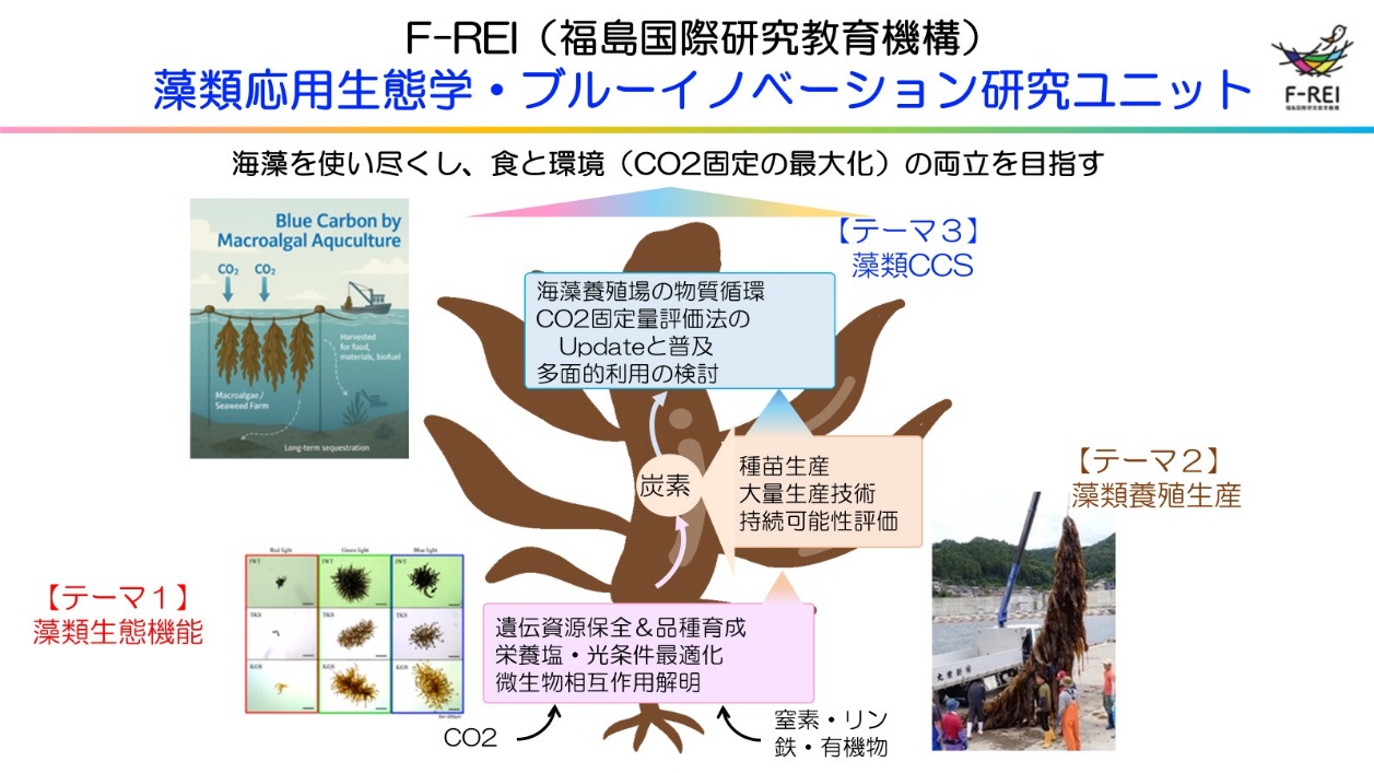 図4-26